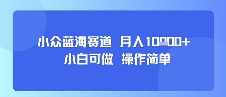 小众蓝海赛道，小白可做，操作简单，每天30分钟，月入1W+-第一资源网