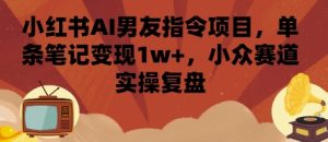 小红书AI男友指令项目,单条笔记变现1w+,小众赛道实操复盘-第一资源网