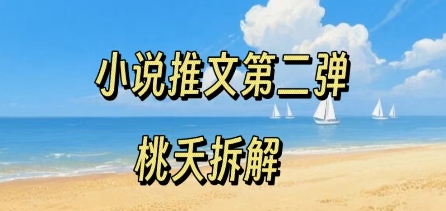 小说推文项目操作全流程第二弹，0粉就能做，门槛低非常适合新手-第一资源网