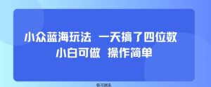 小众蓝海玩法 一天搞了四位数 小白可做 操作简单-第一资源网