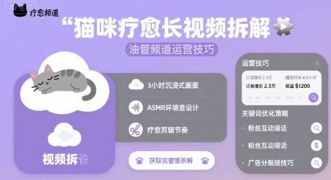 猫咪疗愈长视频拆解 &油管频道运营技巧-第一资源网