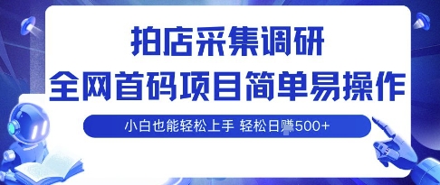 拍店采集调研，全网首码项目，简单易操作， 小白也能轻松上手，多账号操作，轻松日入5张【揭秘】-第一资源网