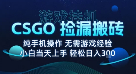 8月最新游戏搬砖，CSGO纯挂G，不需要玩游戏，实现真挂G，月入1W+【揭秘】-第一资源网