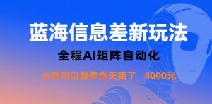 蓝海信息差新玩法，全程AI矩阵自动化小白可以操作当天搞了1k+-第一资源网