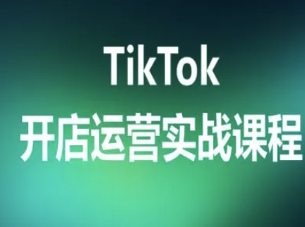 TikTok开店运营实战课程，TK跨境电商实操全流程-第一资源网