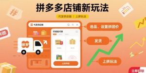 拼多多店铺新玩法，代发供应链上拼玩法-第一资源网