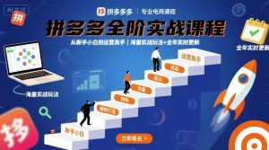 拼多多全阶实战课程，从新手小白到运营高手，海量实战玩法+全年实时更新【2025年9月更新】-第一资源网