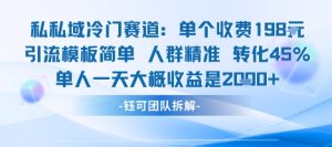 私域冷门赛道单个收费198米引流模板简单人群精准 45%的转化率单人一天大概收益多张-第一资源网