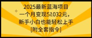 2025最新蓝海项目一个月变现1w+新手小白也能轻松上手【附全套指令】-第一资源网