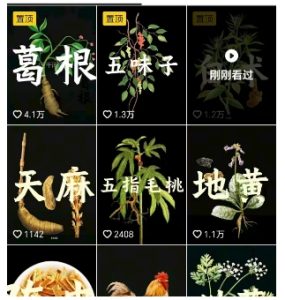 抖音中草药赛道，用AI做中草药故事视频，45条作品涨粉13W，橱窗带货猛猛出单-第一资源网