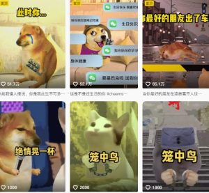 狗头幸运星UE5动画全套课程，从入门到实操全掌握-第一资源网